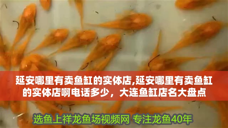 <strong><mark>延安</mark></strong>哪里有賣魚缸的實體店,<strong><mark>延安</mark></strong>哪里有賣魚缸的實體店啊電話多少，大連魚缸店名大盤點