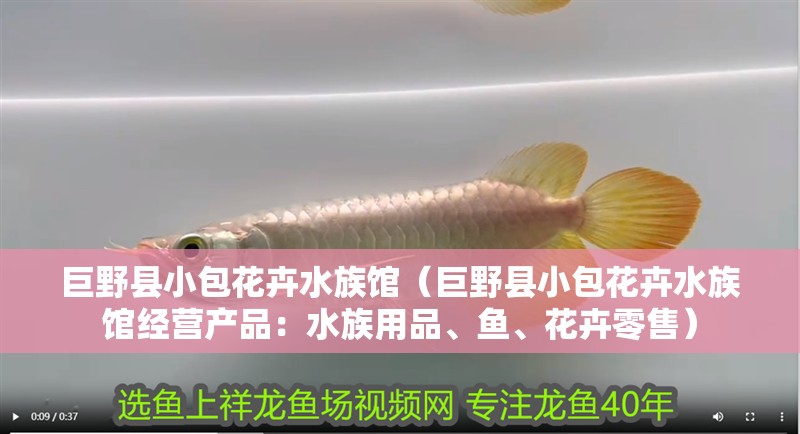 巨野縣小包花卉水族館（巨野縣小包花卉水族館經(jīng)營產(chǎn)品：水族用品、魚、花卉零售）