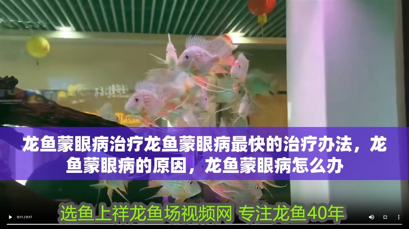 龍魚(yú)蒙眼病治療龍魚(yú)蒙眼病最快的治療辦法，龍魚(yú)蒙眼病的原因，龍魚(yú)蒙眼病怎么辦