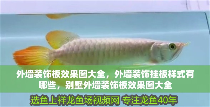 外墻裝飾板效果圖大全，外墻裝飾掛板樣式有哪些，別墅外墻裝飾板效果圖大全