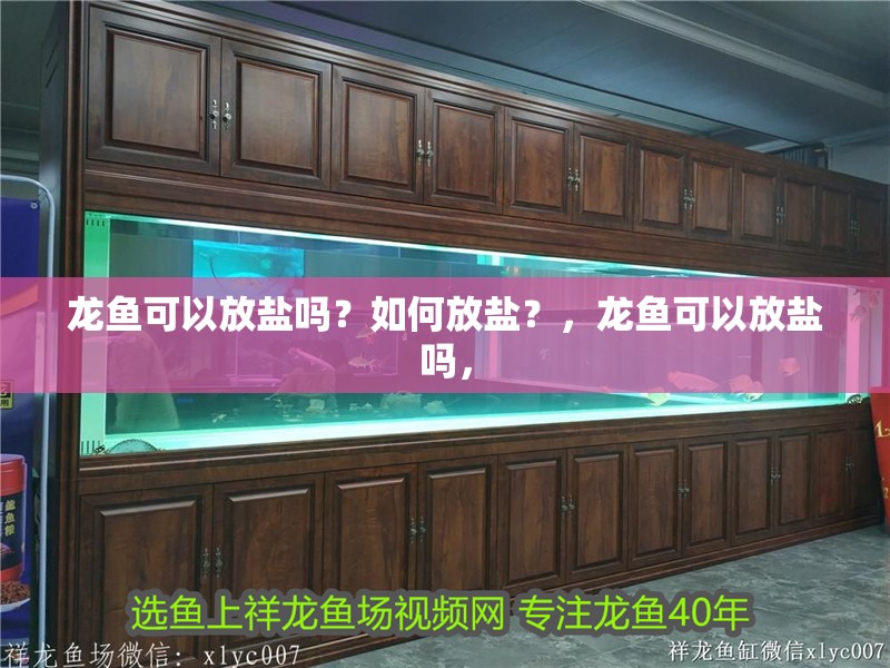 龍魚可以放鹽嗎？如何放鹽？，龍魚可以放鹽嗎，