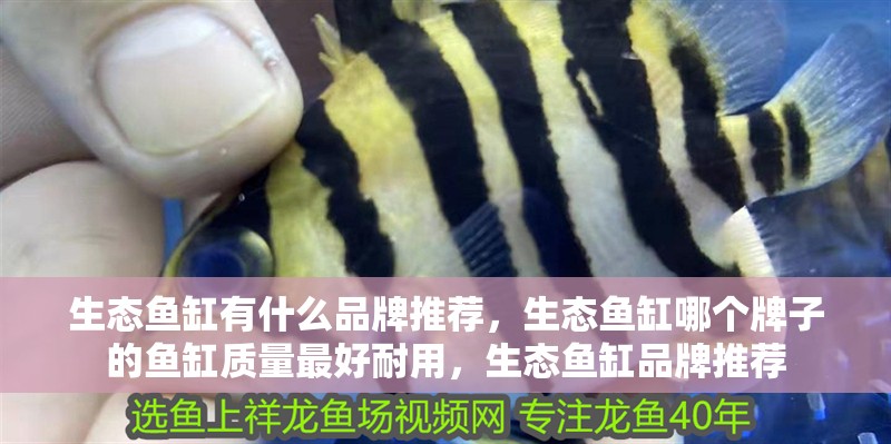 生態魚缸有什么品牌推薦，生態魚缸哪個牌子的魚缸質量最好耐用，生態魚缸品牌推薦