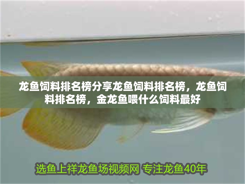 龍魚飼料排名榜分享龍魚飼料排名榜，龍魚飼料排名榜，金龍魚喂什么飼料最好