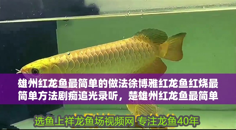 雄州紅龍魚最簡單的做法徐博雅紅龍魚紅燒最簡單方法劇癡追光錄聽，楚雄州紅龍魚最簡單的做法