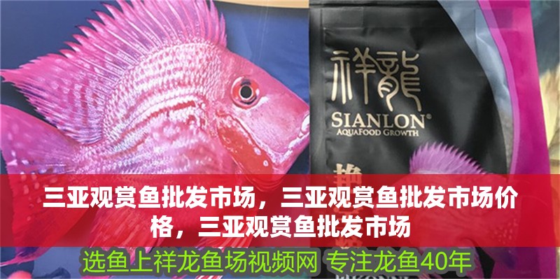 三亞觀賞魚批發(fā)市場，三亞觀賞魚批發(fā)市場價格，三亞觀賞魚批發(fā)市場