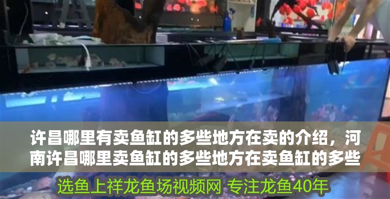 許昌哪里有賣魚缸的多些地方在賣的介紹，河南許昌哪里賣魚缸的多些地方在賣魚缸的多些地方在賣 許昌哪里有賣魚缸的多些地方在賣的介紹，河南許昌哪里賣魚缸的多些地方在賣魚缸的多些地方在賣 觀賞魚百科 第2張
