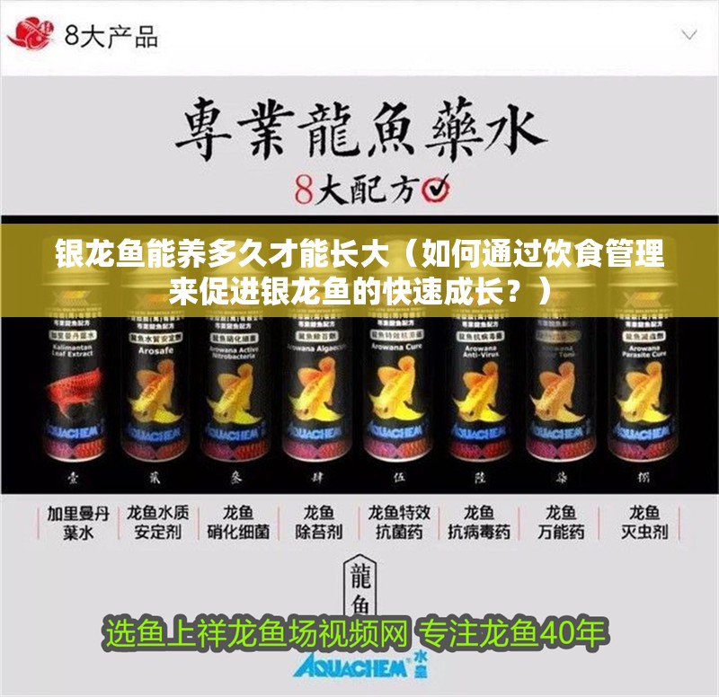 銀龍魚能養多久才能長大（如何通過飲食管理來促進銀龍魚的快速成長？）
