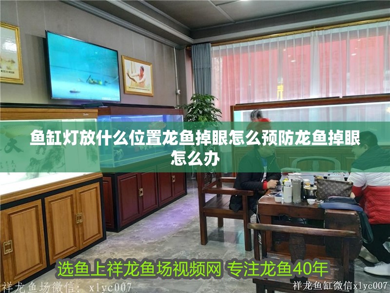 魚缸燈放什么位置龍魚掉眼怎么預(yù)防龍魚掉眼怎么辦