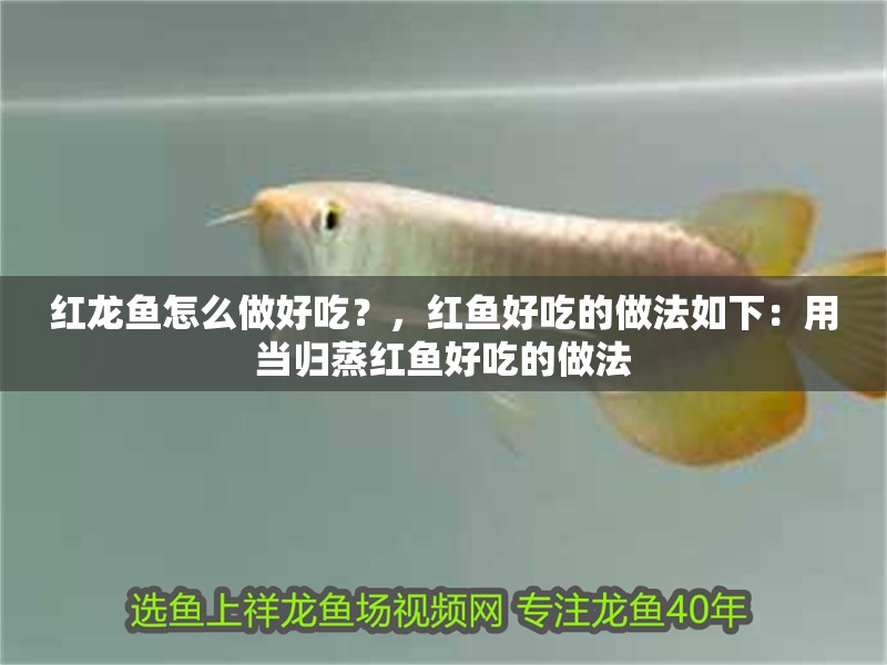 紅龍魚怎么做好吃？，紅魚好吃的做法如下：用當歸蒸紅魚好吃的做法