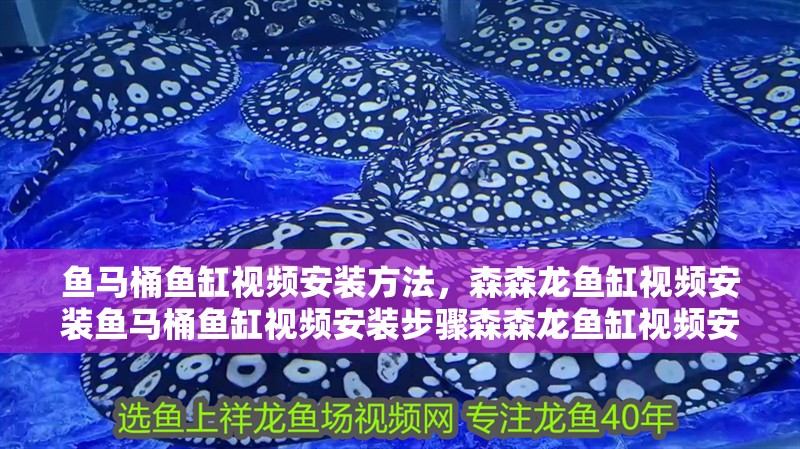 魚馬桶魚缸視頻安裝方法，森森龍魚缸視頻安裝魚馬桶魚缸視頻安裝步驟森森龍魚缸視頻安裝