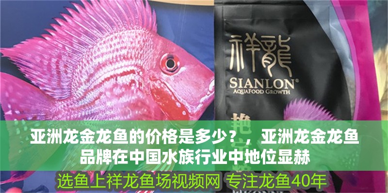 亞洲龍金龍魚的價格是多少?,亞洲龍金龍魚品牌在中國水族行業中地位顯赫 觀賞魚百科 第3張 亞洲龍金龍魚的價格是多少?,亞洲龍金龍魚品牌在中國水族行業中地位顯赫 亞洲龍金龍魚的價格是多少?,亞洲龍金龍魚品牌在中國水族行業中地位顯赫 觀賞魚百科 第3張