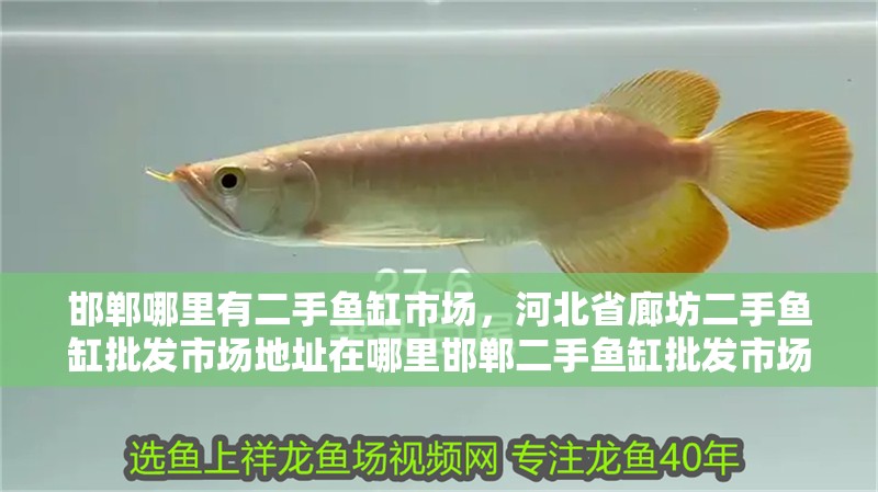 邯鄲哪里有二手魚缸市場，河北省廊坊二手魚缸批發(fā)市場地址在哪里邯鄲二手魚缸批發(fā)市場