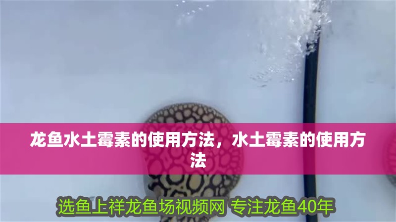 龍魚水土霉素的使用方法，水土霉素的使用方法