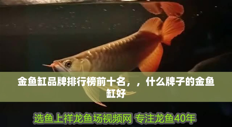 金魚缸品牌排行榜前十名，，什么牌子的金魚缸好