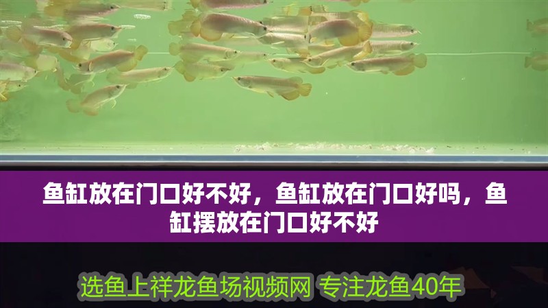 魚缸放在門口好不好，魚缸放在門口好嗎，魚缸擺放在門口好不好