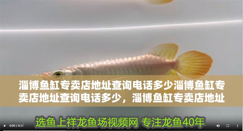 淄博魚缸專賣店地址查詢電話多少淄博魚缸專賣店地址查詢電話多少，淄博魚缸專賣店地址查詢電話多少 淄博魚缸專賣店地址查詢電話多少淄博魚缸專賣店地址查詢電話多少，淄博魚缸專賣店地址查詢電話多少 觀賞魚百科 第2張