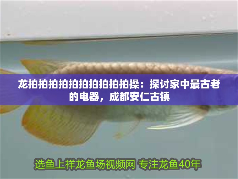 龍拍拍拍拍拍拍拍拍拍拍操：探討家中最古老的電器，成都<strong><mark>安仁</mark></strong>古鎮