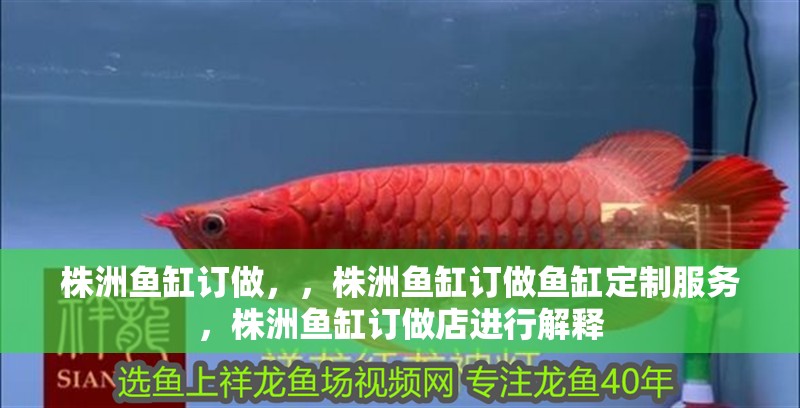 株洲魚缸訂做，，株洲魚缸訂做魚缸定制服務，株洲魚缸訂做店進行解釋 株洲魚缸訂做，，株洲魚缸訂做魚缸定制服務，株洲魚缸訂做店進行解釋 觀賞魚百科