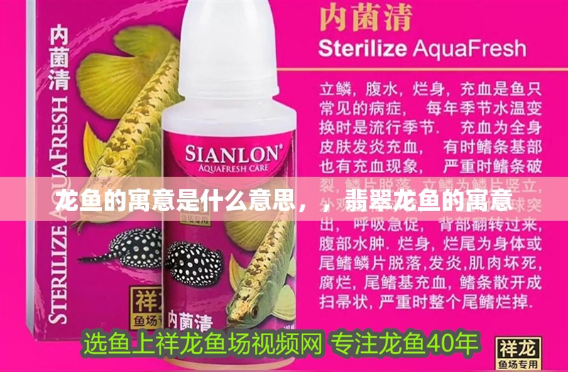 龍魚的寓意是什么意思，，翡翠龍魚的寓意