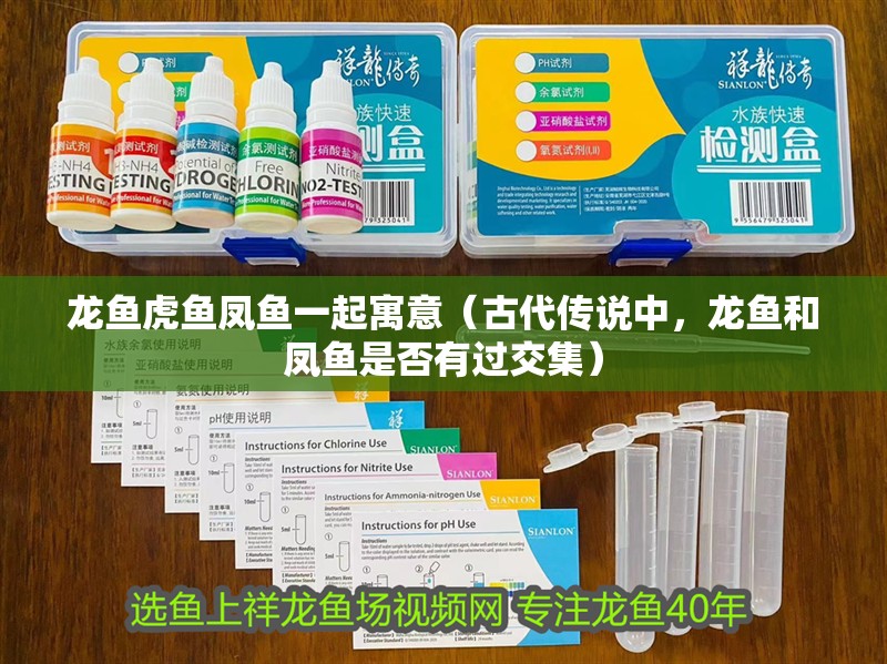 龍魚虎魚鳳魚一起寓意（古代傳說中，龍魚和鳳魚是否有過交集）