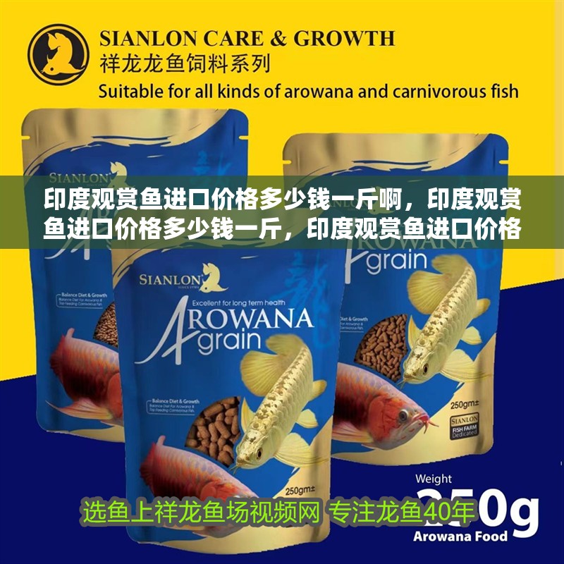 印度觀賞魚進口價格多少錢一斤啊，印度觀賞魚進口價格多少錢一斤，印度觀賞魚進口價格多少錢一斤 印度觀賞魚進口價格多少錢一斤啊，印度觀賞魚進口價格多少錢一斤，印度觀賞魚進口價格多少錢一斤 觀賞魚百科 第2張