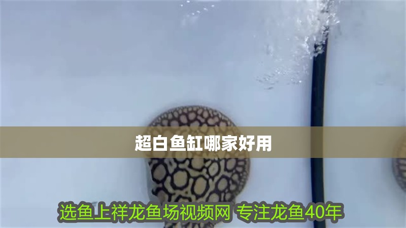超白魚缸哪家好用