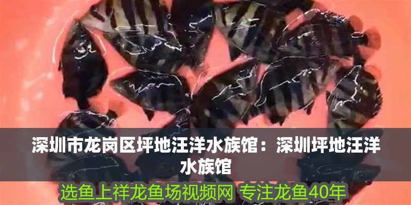 深圳市龍崗區坪地汪洋水族館：深圳坪地汪洋水族館 深圳市龍崗區坪地汪洋水族館：深圳坪地汪洋水族館 觀賞魚百科 第2張