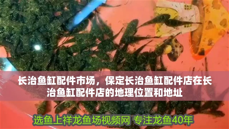 長治魚缸配件市場，保定長治魚缸配件店在長治魚缸配件店的地理位置和地址