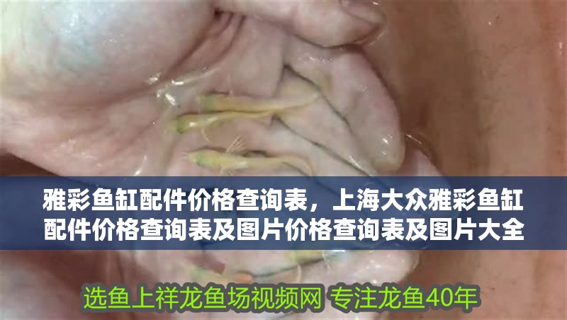 雅彩魚缸配件價格查詢表，上海大眾雅彩魚缸配件價格查詢表及圖片價格查詢表及圖片大全