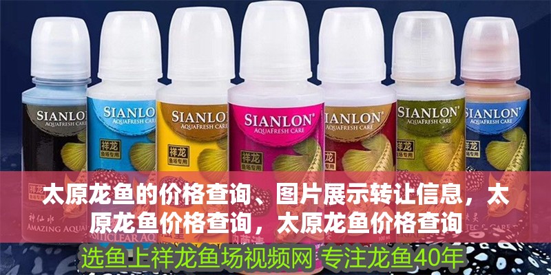 太原龍魚的價格查詢、圖片展示轉(zhuǎn)讓信息，太原龍魚價格查詢，太原龍魚價格查詢