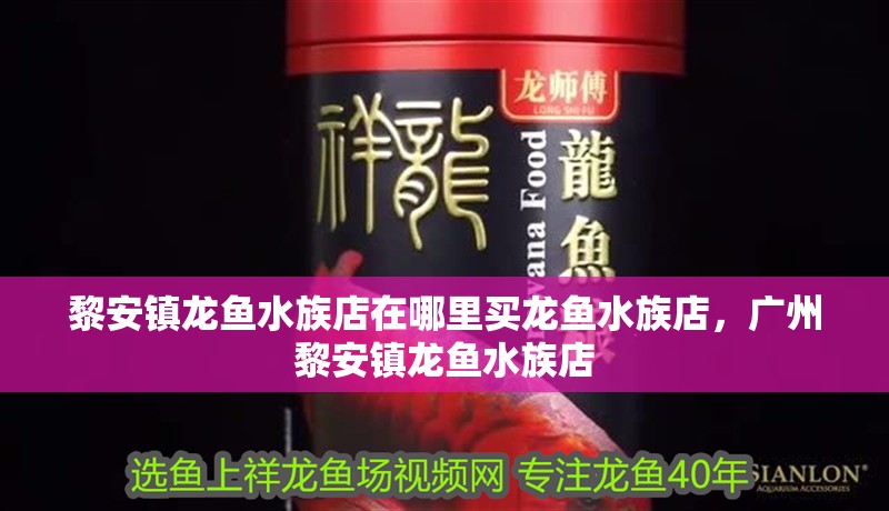 黎安鎮(zhèn)龍魚水族店在哪里買龍魚水族店，廣州黎安鎮(zhèn)龍魚水族店