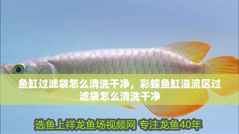 魚缸過濾袋怎么清洗干凈，彩蝶魚缸溢流區(qū)過濾袋怎么清洗干凈