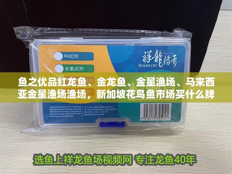 魚之優品紅龍魚、金龍魚、金星漁場、馬來西亞金星漁場漁場，新加坡花鳥魚市場買什么牌子的龍魚好