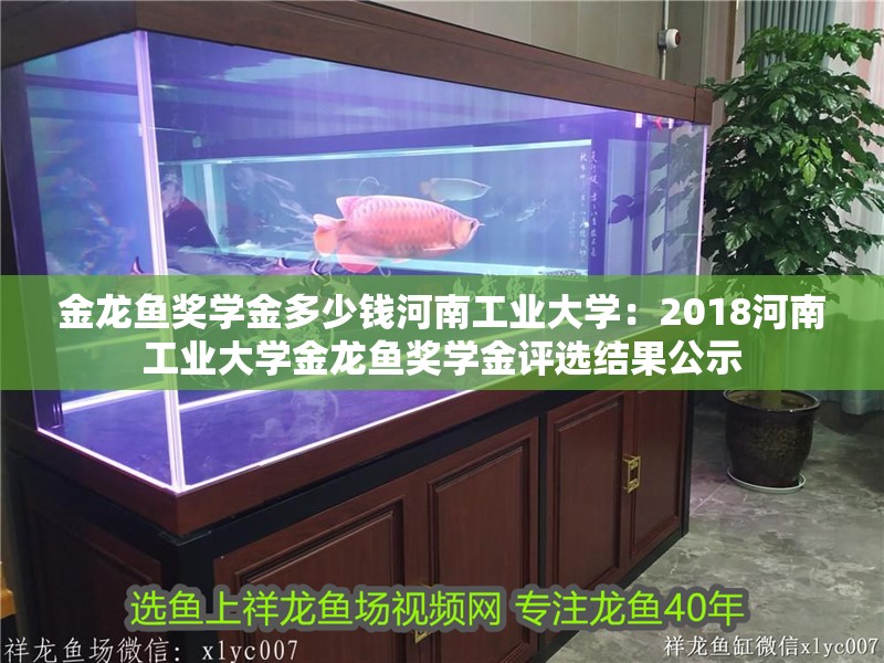 金龍魚獎學金多少錢河南工業大學：2018河南工業大學金龍魚獎學金評選結果公示