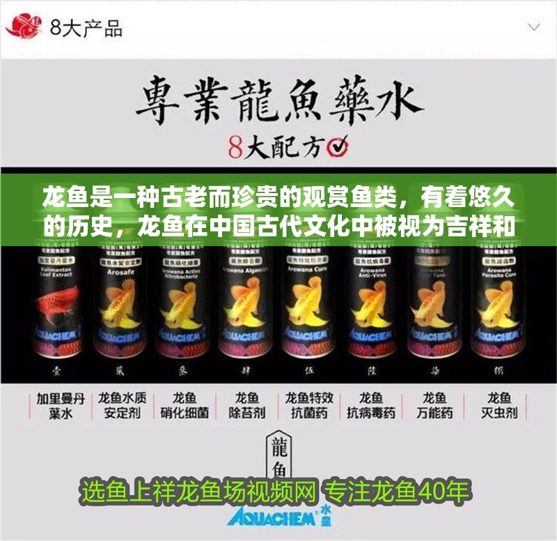 龍魚是一種古老而珍貴的觀賞魚類，有著悠久的歷史，龍魚在中國古代文化中被視為吉祥和權力的象征，有著悠久歷史