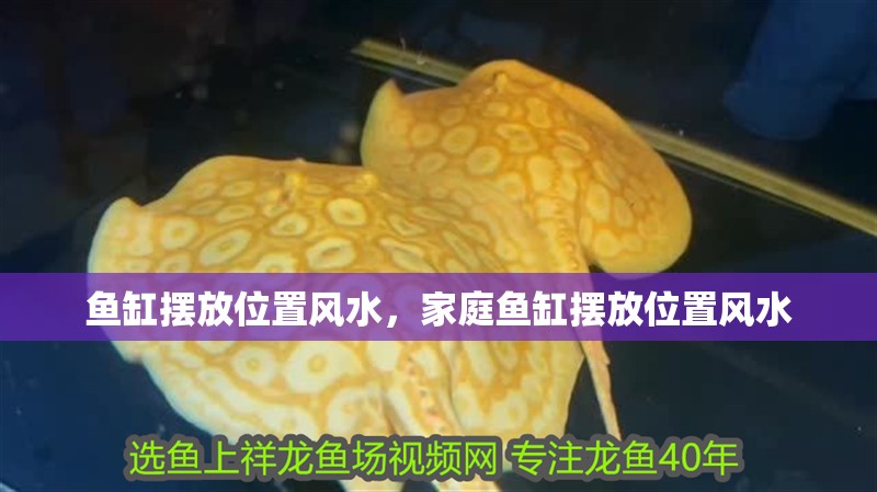 魚缸擺放位置風水，家庭魚缸擺放位置風水