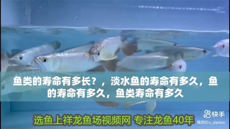 魚類的壽命有多長？，淡水魚的壽命有多久，魚的壽命有多久，魚類壽命有多久 魚類的壽命有多長？，淡水魚的壽命有多久，魚的壽命有多久，魚類壽命有多久 觀賞魚百科