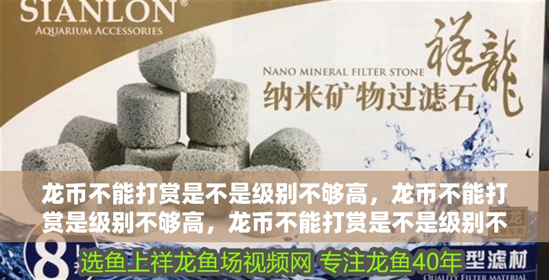 龍幣不能打賞是不是級別不夠高，龍幣不能打賞是級別不夠高，龍幣不能打賞是不是級別不夠高，