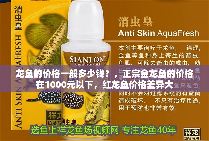 龍魚的價(jià)格一般多少錢？，正宗金龍魚的價(jià)格在1000元以下，紅龍魚價(jià)格差異大
