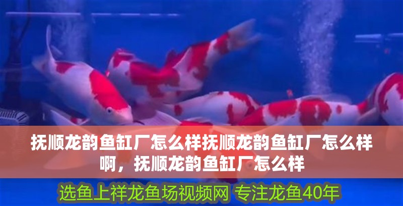 撫順龍韻魚缸廠怎么樣撫順龍韻魚缸廠怎么樣啊，撫順龍韻魚缸廠怎么樣