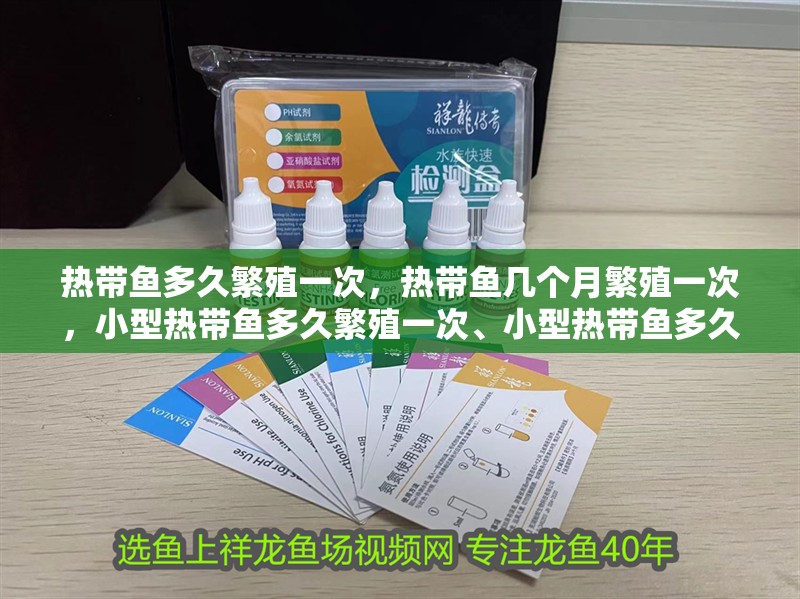 熱帶魚多久繁殖一次，熱帶魚幾個月繁殖一次，小型熱帶魚多久繁殖一次、小型熱帶魚多久繁殖一次 熱帶魚多久繁殖一次，熱帶魚幾個月繁殖一次，小型熱帶魚多久繁殖一次、小型熱帶魚多久繁殖一次 觀賞魚百科