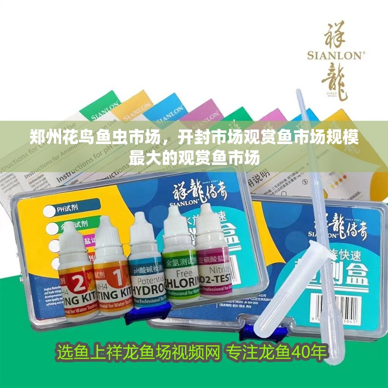 鄭州花鳥魚蟲市場，開封市場觀賞魚市場規模最大的觀賞魚市場