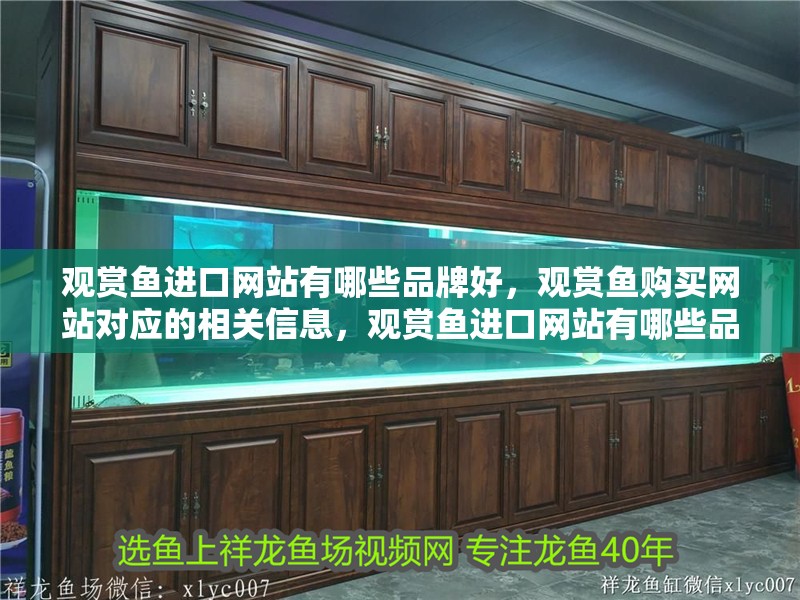 觀賞魚進口網站有哪些品牌好，觀賞魚購買網站對應的相關信息，觀賞魚進口網站有哪些品牌好