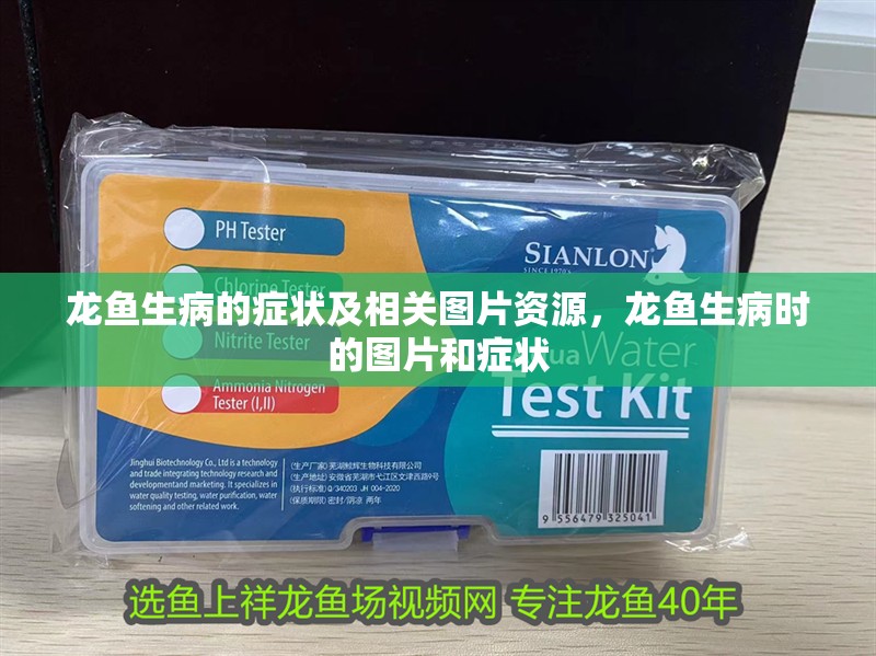 龍魚生病的癥狀及相關圖片資源，龍魚生病時的圖片和癥狀