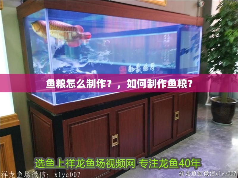 魚糧怎么制作？，如何制作魚糧？