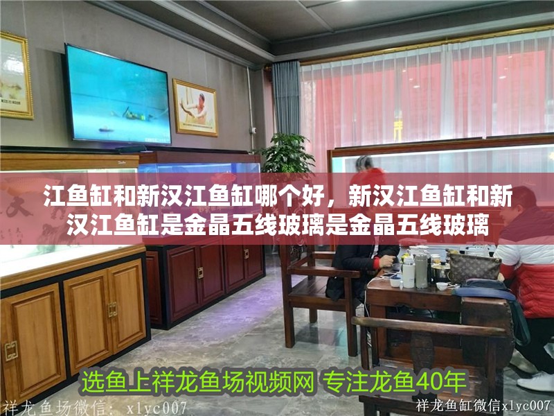 江魚缸和新漢江魚缸哪個好，新漢江魚缸和新漢江魚缸是金晶五線玻璃是金晶五線玻璃