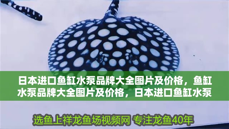 日本進(jìn)口魚缸水泵品牌大全圖片及價格，魚缸水泵品牌大全圖片及價格，日本進(jìn)口魚缸水泵價格