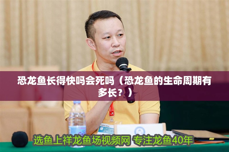恐龍魚長得快嗎會(huì)死嗎（恐龍魚的生命周期有多長？）