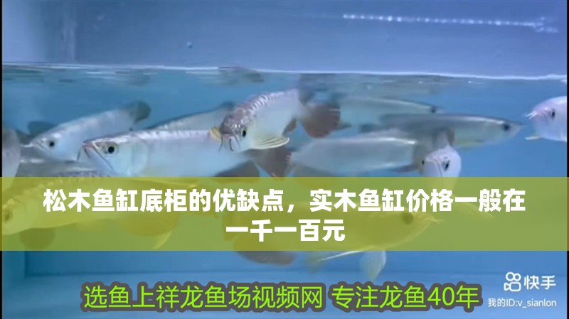 松木魚缸底柜的優(yōu)缺點，實木魚缸價格一般在一千一百元 松木魚缸底柜的優(yōu)缺點，實木魚缸價格一般在一千一百元 觀賞魚百科 第2張