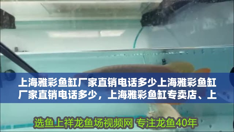 上海雅彩魚缸廠家直銷電話多少上海雅彩魚缸廠家直銷電話多少，上海雅彩魚缸專賣店、上海雅彩魚缸廠家直銷電話多少